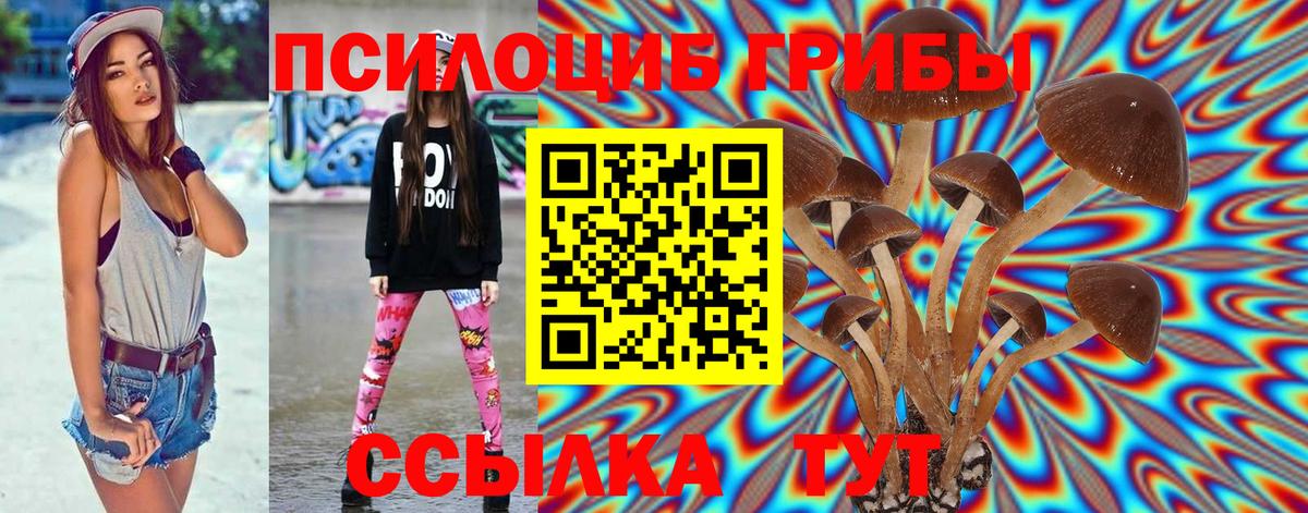Великий Новгород  Галлюциногенные грибы мицелий  Вход с VPN 